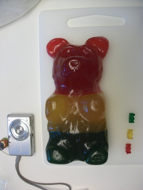 World Biggest Gummy Bear 世界一大きなグミの熊 エンジェルスヒロのアメリカ西遊記